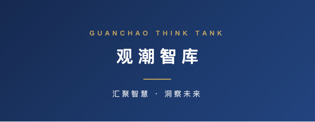 观潮智库:汇聚智慧,洞察未来
